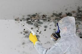 Reliable Zillah, WA Mold Inspection Solutions